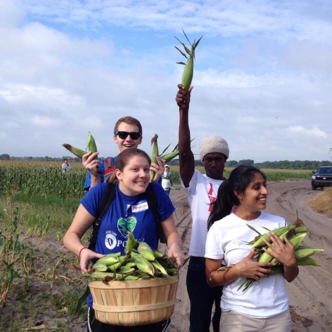 Some of the AmeriCorps crew while gleaning. Photo Credit: Gil Portillo.